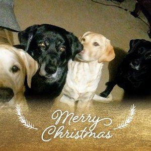 Meet your Posher, Patty